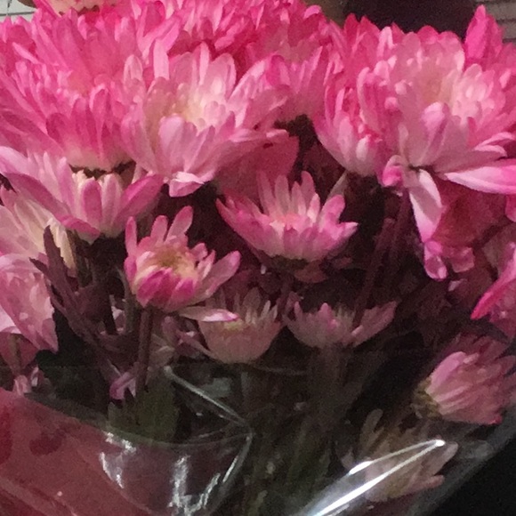 Meet your Posher, Vaar - Picture 1 of 1